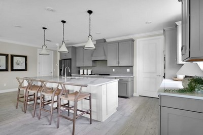 Del Webb St Johns - Palmary - Kitchen